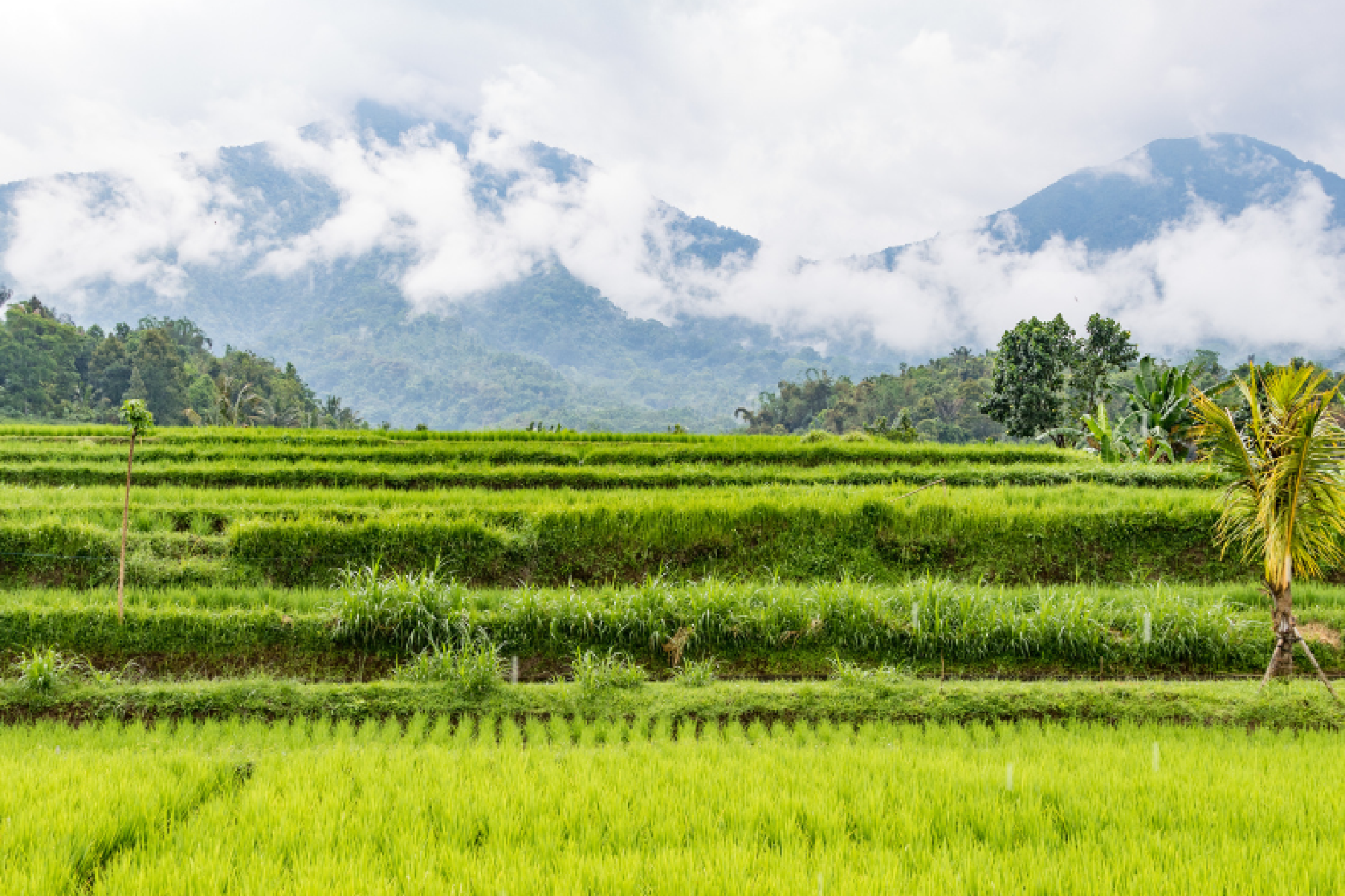 1655093515-13-06-2022-cfI2UsrFzvxjmO0Rb1kAENP5LDWhl8yu