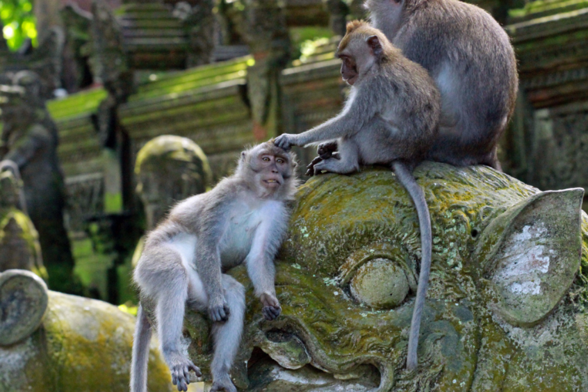 1655094201-13-06-2022-tZa0po7MkcQbT8GOeCWADzEYy5FUsBlX