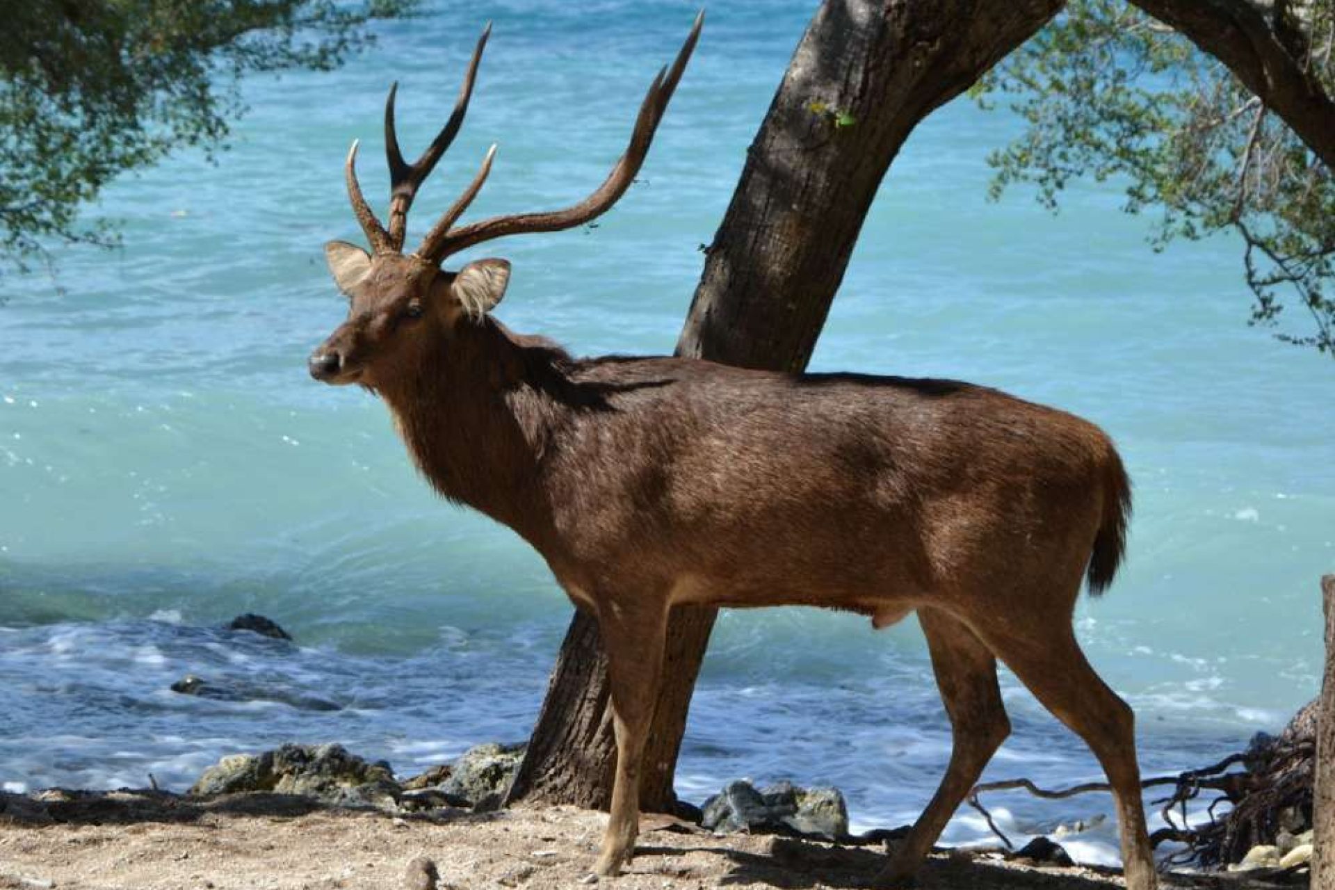 1655323808-product_image-16-06-2022-ekyAVNMIr1n369Ll