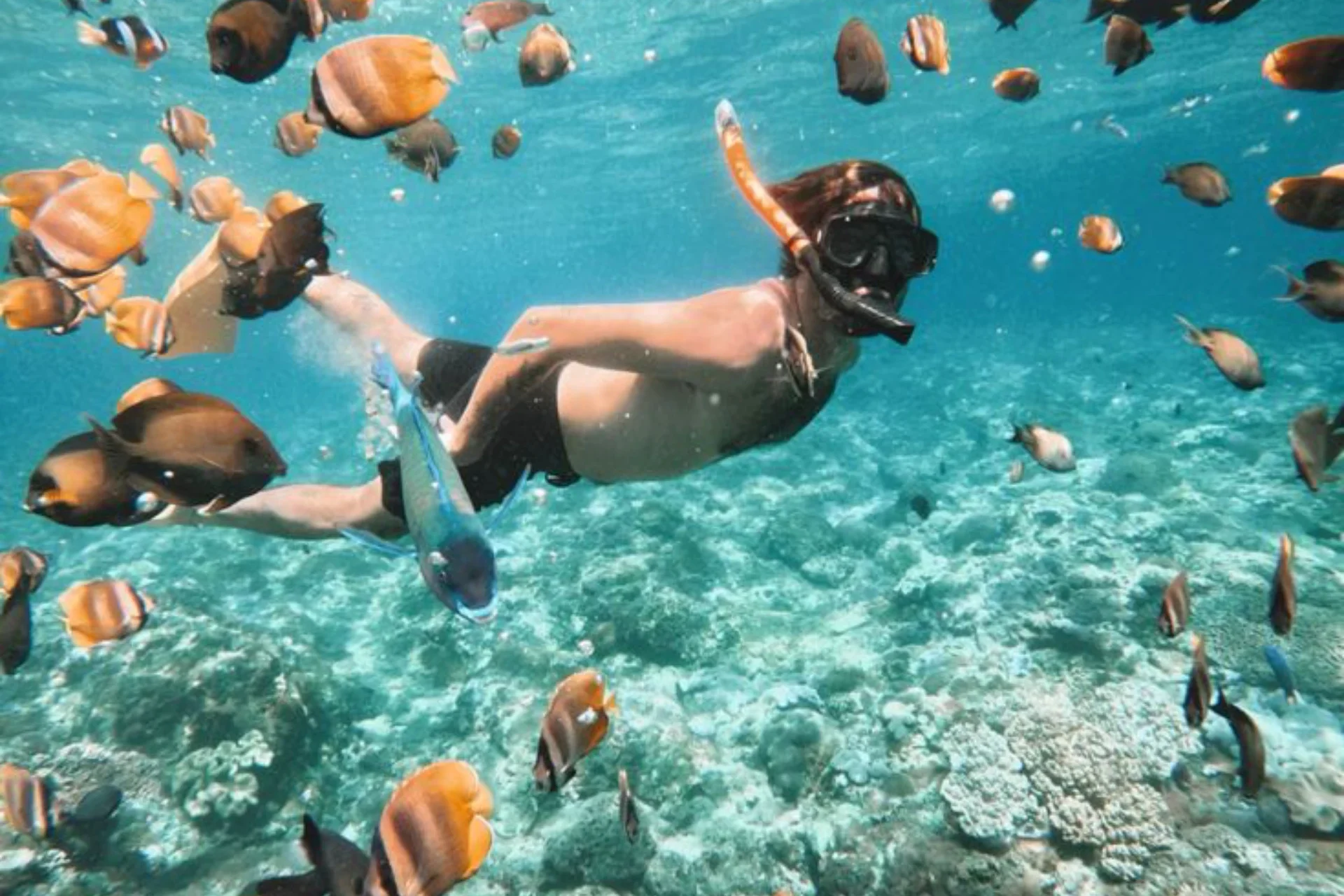 Snorkling Nusa Penida